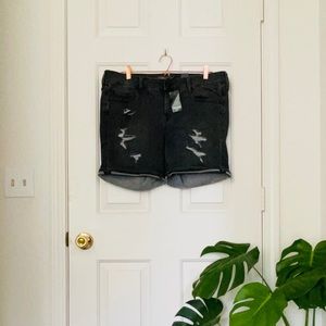 Distressed Mid-Rise Shorts